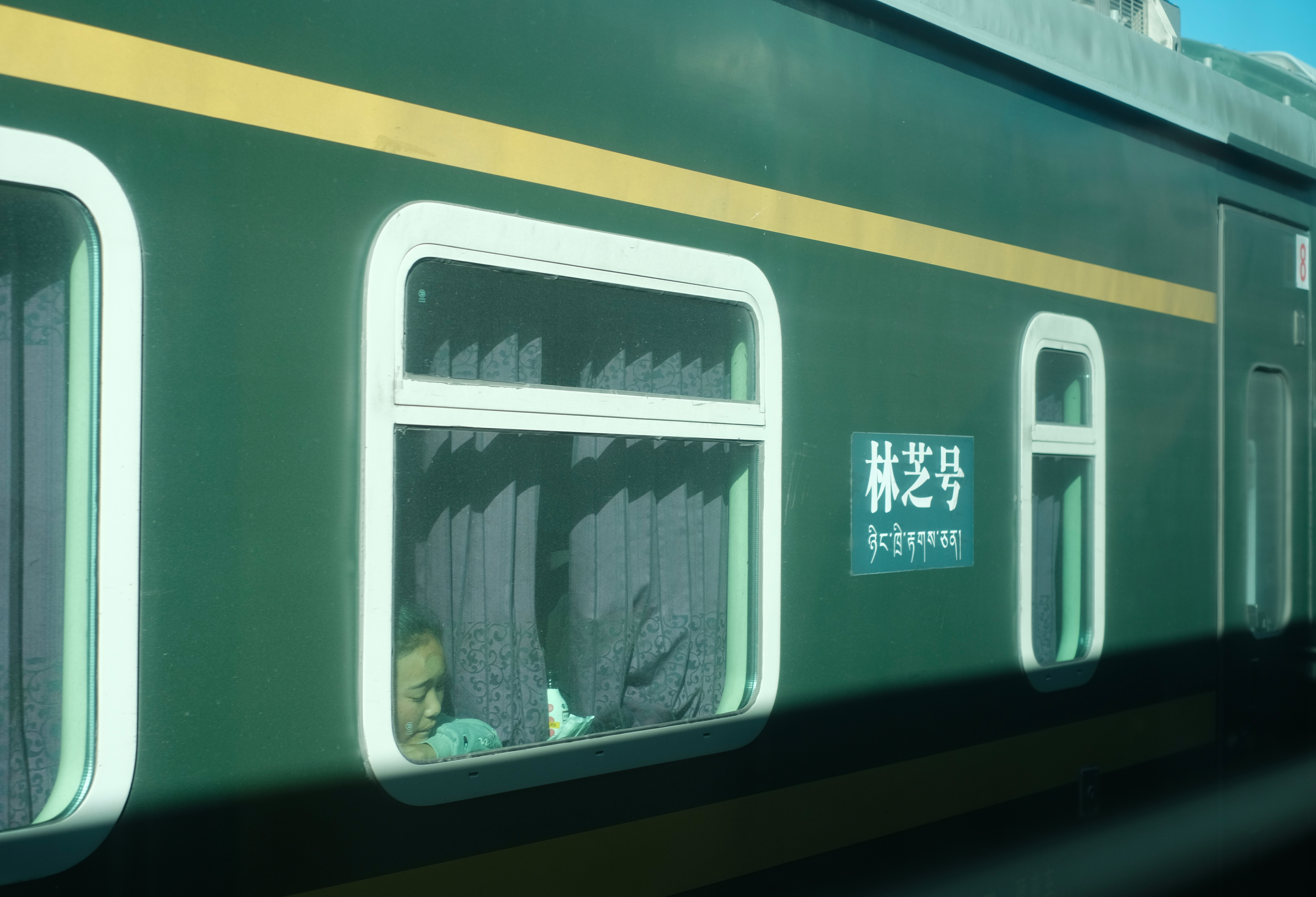 西藏的人