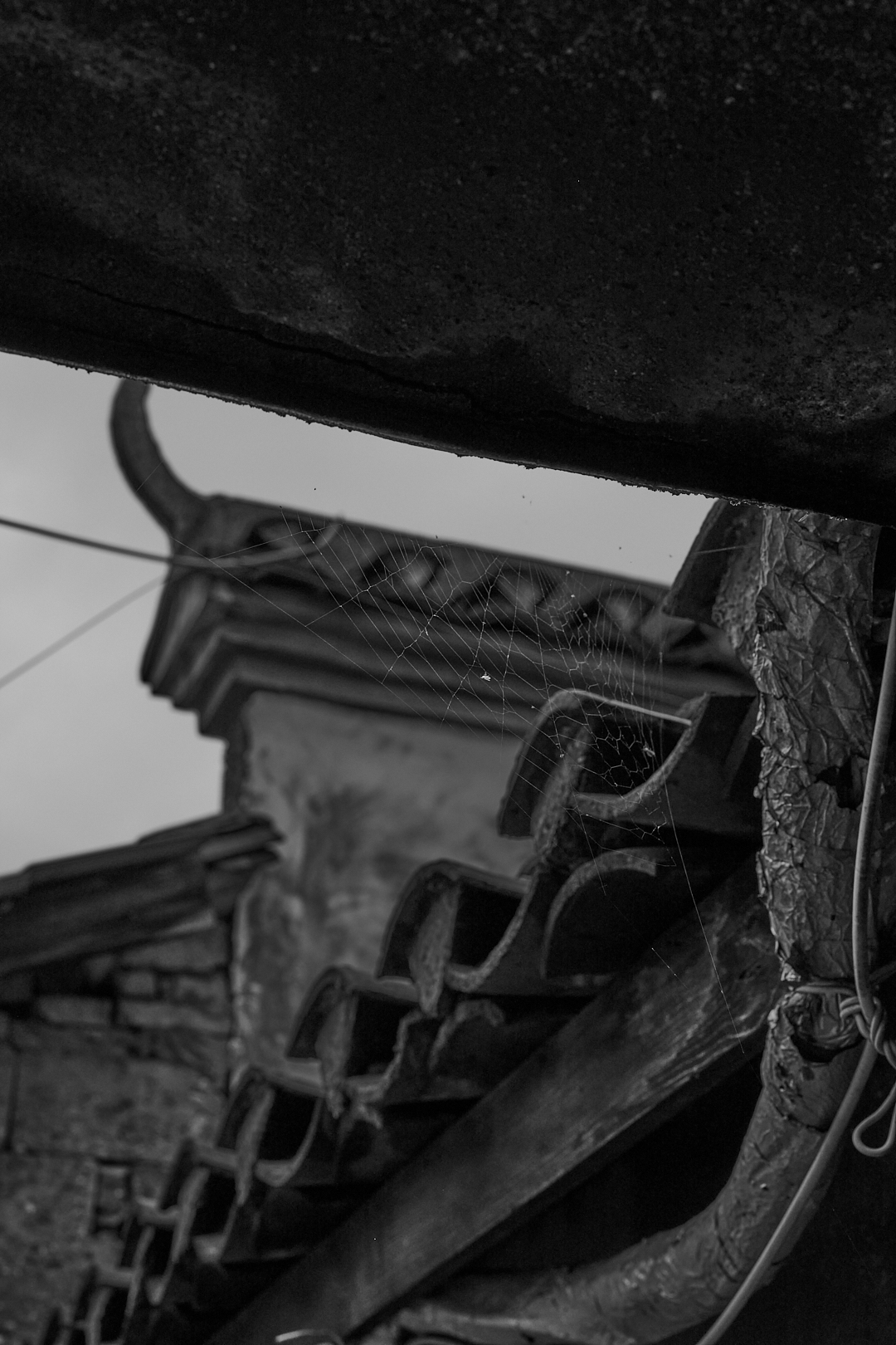 黑白