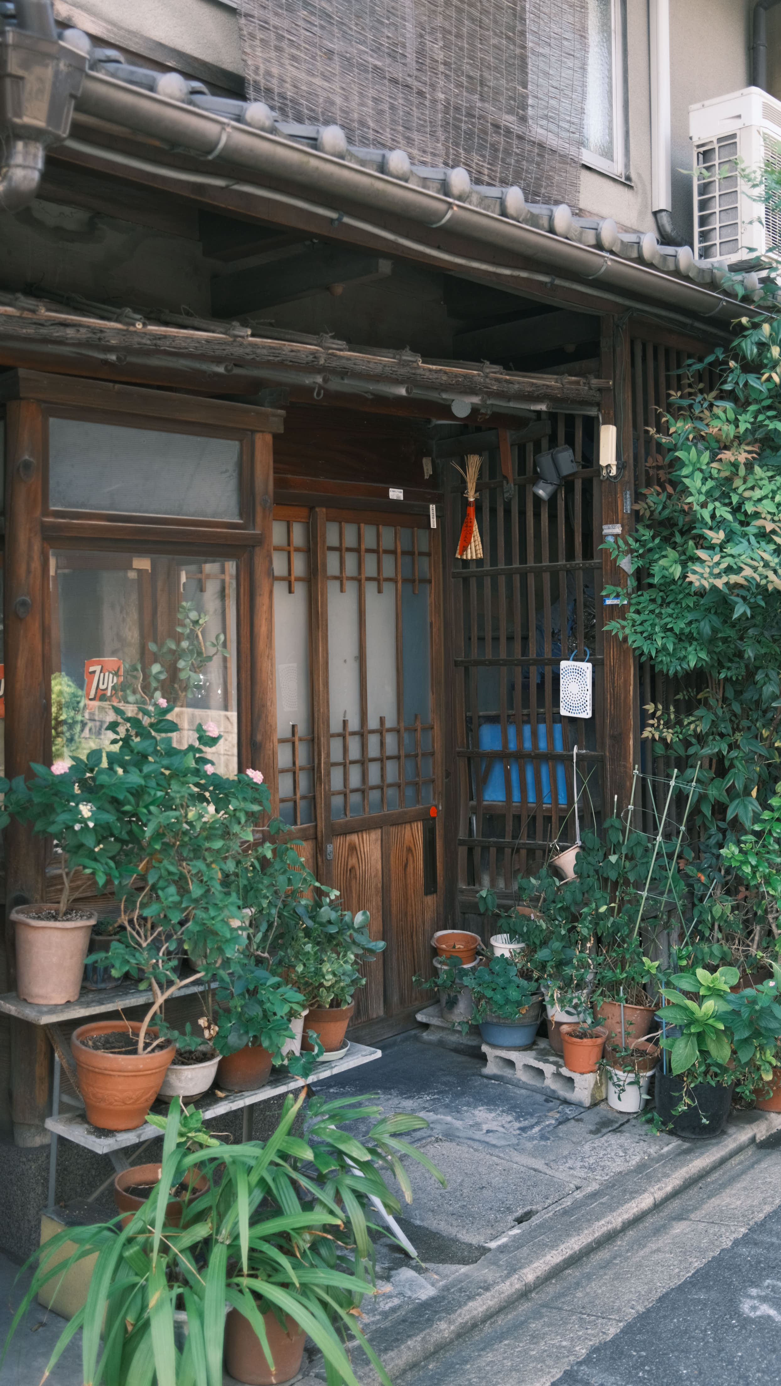 京都